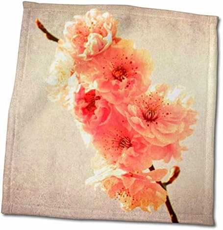 3dRose PS Virágok - Tavaszi cseresznyevirágzás Virágok - Törölköző (twl-183246-3)