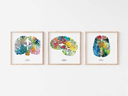 Neuroscience Orvosi Wall Art - 3 - 8.5 x 8.5 Akvarell Művészi Nyomatok - Neurológia, Pszichológia Fal Irodai Dekoráció - Érettségi, illetve