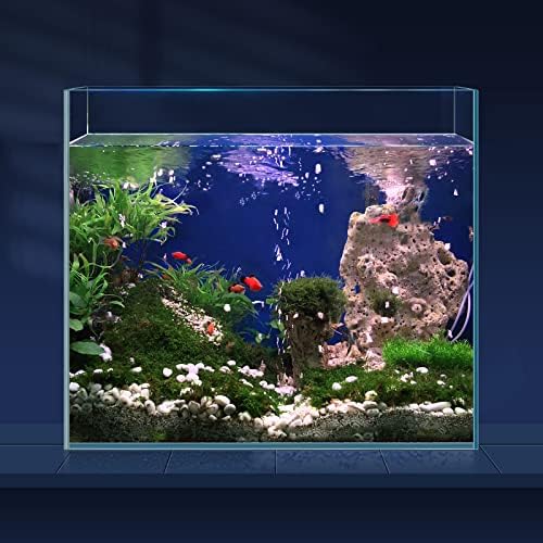 LAQUAL 6.5 Liter Ultra-Tiszta Üveg akvárium, Keret nélküli, Alacsony Vas Akvárium Betta/Nano/Aranyhal/Csiga/Rák, Hal Tank & Fedezze Set & Etetés