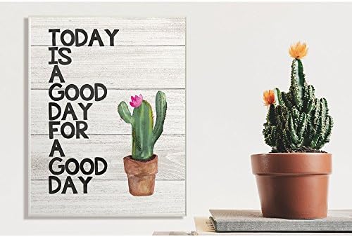 Stupell Iparágak Mai nap Egy Jó Nap Kaktusz Zamatos Akvarell Falon Emléktábla, 10 x 15, Színes