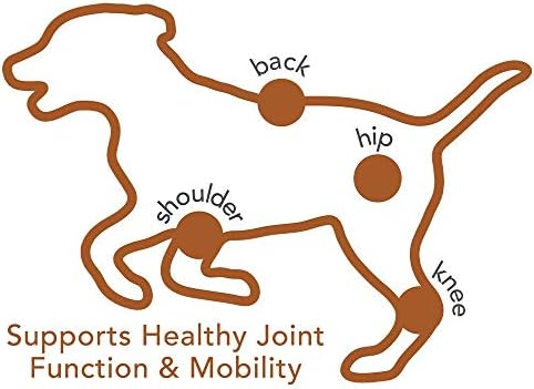 Állatorvos Legjobb Hip & Közös Puha Rágja a Kutya Kiegészítők | Megfogalmazott, a Glükózamin & Kondroitin Támogatása Kutya Közös & Porc Egészségének