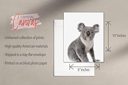 Kristály Vászon Minimalista Koalák Ujjlenyomat - Készlet 4 (8x10) Egyedi Koala Jelent meg Szögek Óvoda Fotózás Wall Art Dekor