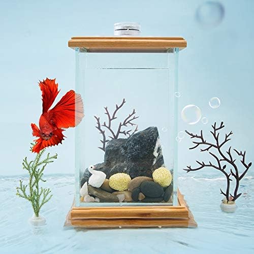 TJLSS Üveg Mini Asztali akvárium Nappali, Kis Asztal Kreatív Lusta Ökológiai Kis akvárium Táj