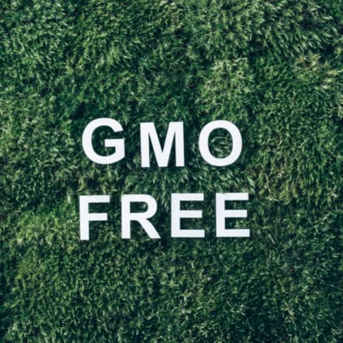 Mystic Moments | Szerves Wintergreen illóolaj 1Kg - Pure & Natural Olaj Diffúzorok, Aromaterápiás & Masszázs Keverékek Vegán GMO-Mentes