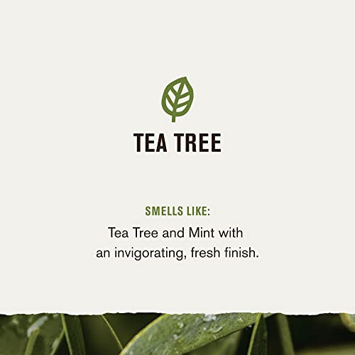 Minden Ember Jack 2-az-1-Tea Tree + Cédrus Sampon + Balzsam - Sűrűsödik, Tisztítsd meg, majd Mossa Haját, Kókusz, Aloe -, Tea-Fa Olaj - Jegyzetek