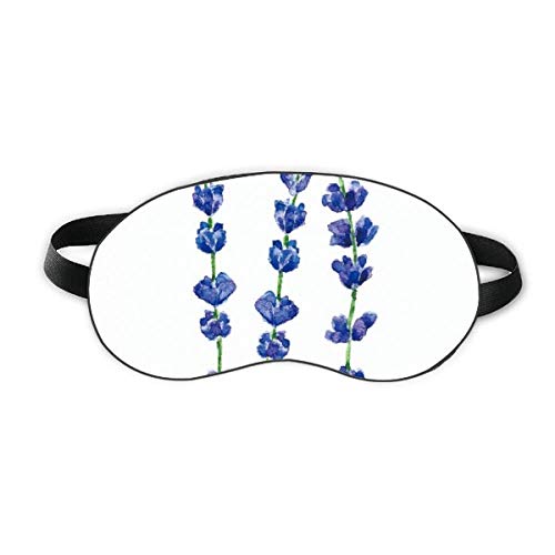Kék Levendula Virág, Növény Aludni Szem Pajzs Puha Este Kendőt Árnyékba Borító