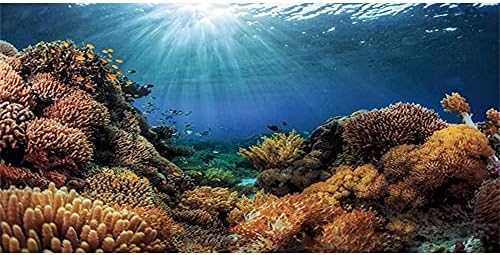AWERT Vinil Akvárium Dekoráció Háttér Korall Trópusi Halat, tenger Alatti akvárium Háttér 48x24 cm