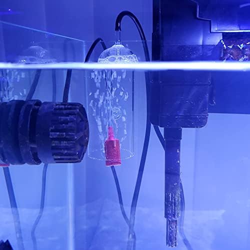 Caylingdee Akvárium Levegő Párologtató Üveg Oxigén Bubbler Kupa Befúvó Oldott Oxigén Készülék Vízzel Cső Balek Levegő Kő Magas Oldott