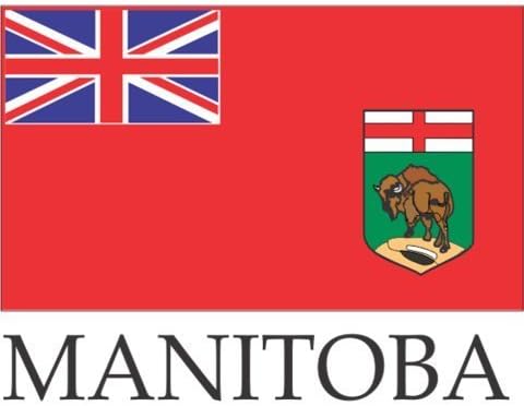 Hímzett zászló Vasalót Varrni a Jelvények Foltok - Kanada (1-Pack, Ország: Új-fundland)
