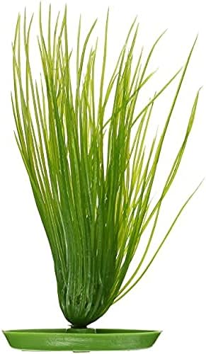 Marina Aquascaper Hairgrass, 8 Colos