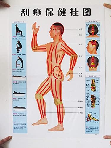 WellieSTR 3 Stlye Test Meridián Gu -aSha Fal Diagram Wall Art Kép, Test Akupunktúrás Otthoni SPA szépségszalon