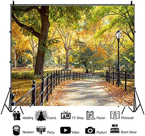 Laeacco New York-i Central Park Fotózás Háttér 10x8ft Coloful Őszi Nap Hátterekkel Táj Út Lámpa Lehullott Levelek, a Fák Természetes