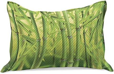 Ambesonne Bamboo Nyomtatási Kötött Paplan Pillowcover, Közel a Bambusz Kelbimbó Ered, a Természet, a Trópusi esőerdők Élővilága Feng