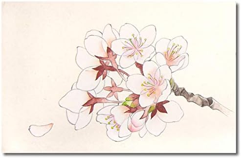 KISSOH Gansai 72-Szín Japán Akvarell Festék Készlet, 1 Gróf (Csomag 1), Fehér/Fekete/Piros