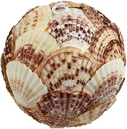 Heyiwell Vegyes Cay Cay Shell-Gömb,Burok Gömb,Kagyló, Labdák,Dekoratív Golyó a Tálak Vázák Étkező Asztal 6 - Os