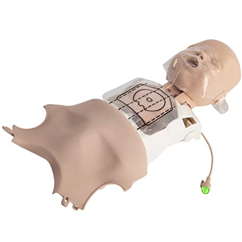 Prestan Csecsemő Ultralite CPR Képzés Próbabábu ÚJRAÉLESZTÉS Visszajelzést, 4-Pack, Sokszínűség