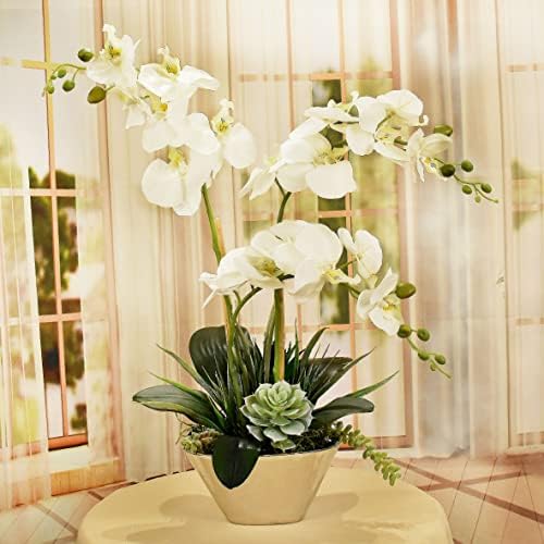 Virágos lakberendezés, Fehér Orchideák, valamint pozsgás növények Ezüst Tál