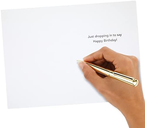 Hallmark Csomag Születésnapi Kártyákat, Kiskutya (6 Születésnapi Kártyákat Boríték)